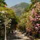 A picturesque walkway in Salerno, Italy, flanked by blooming trees under a clear blue sky.