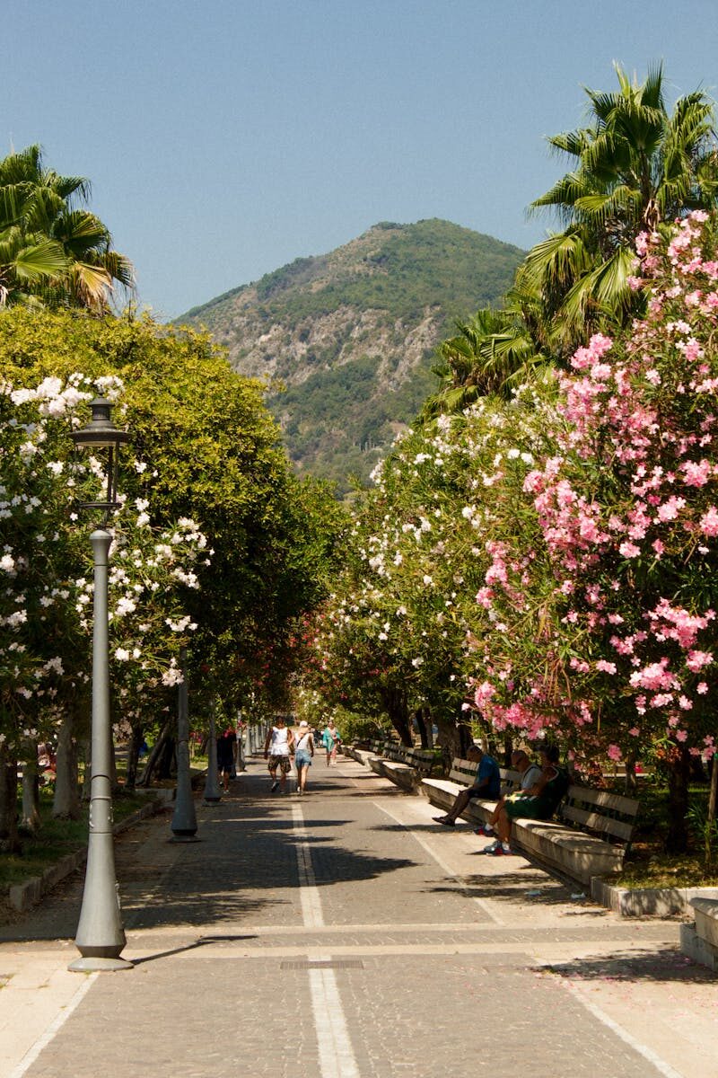 A picturesque walkway in Salerno, Italy, flanked by blooming trees under a clear blue sky.